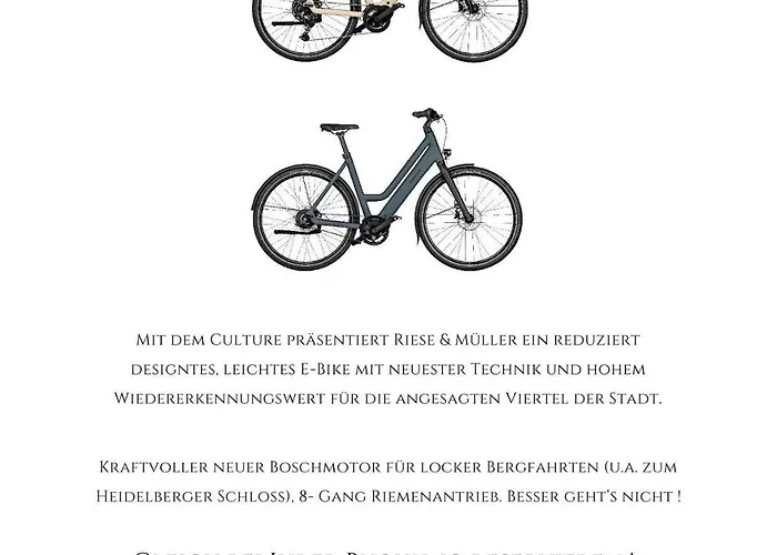 Zur Alten Brucke Heidelberg