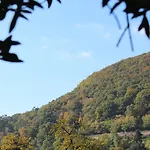 Zur Alten Bruecke מלון היידלברג