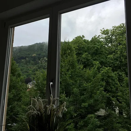 Hotel Zur Alten Brucke Heidelberg
