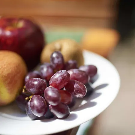 Zur Alten Bruecke Heidelberg