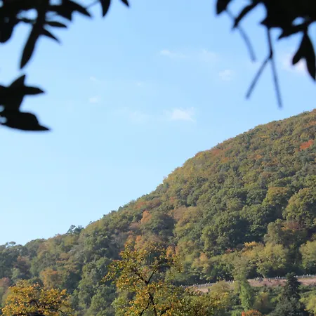 Zur Alten Bruecke Szálloda Heidelberg